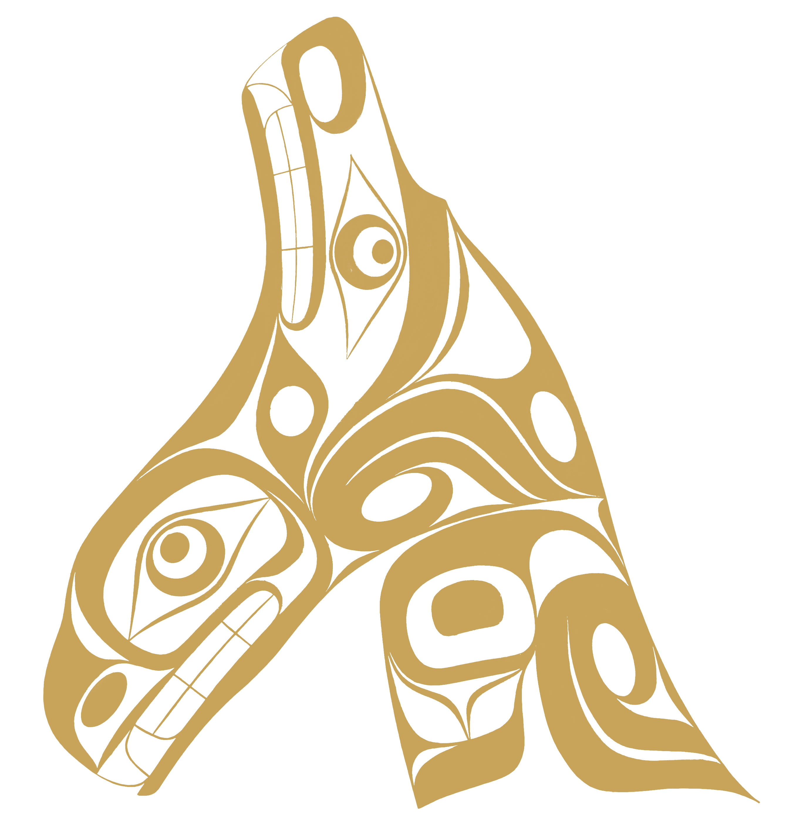 Kwakwaka’wakw formline art — Sea Wolf Adventures Indigenous entrepreneur-led BC bear tours